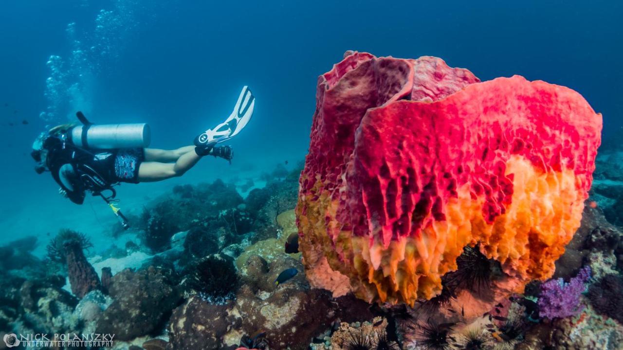 Forra Dive Resort Sunrise Koh Lipe Dış mekan fotoğraf
